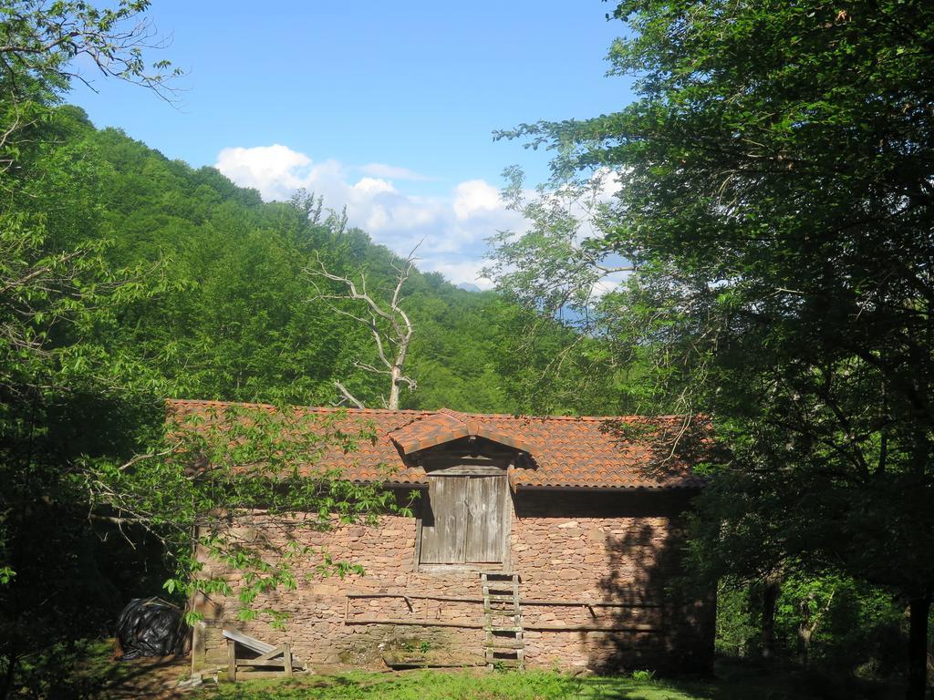 Casa Rural Urruska Елісондо Екстер'єр фото